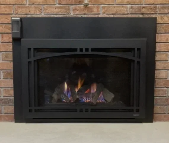 Gas fireplace service inspection in Annandale Virginia